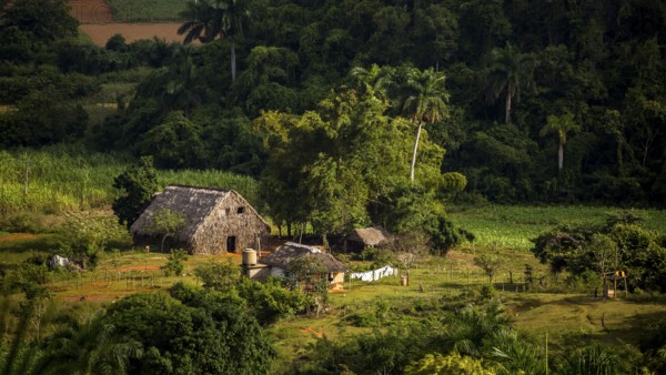 Farmhouse, farm cottage, barn for drying tobacco leaves, tobacco fields and the mountains of the Mogotes, Viñales valley with karst mountains, Viñales, Pinar del Río province, Cuba, North America, Cuba, Pinar del Río