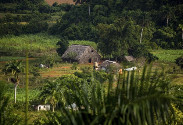 Farmhouse, farm cottage, barn for drying tobacco leaves, tobacco fields and the mountains of the Mogotes, Viñales valley with karst mountains, Viñales, Pinar del Río province, Cuba, North America, Cuba, Pinar del Río