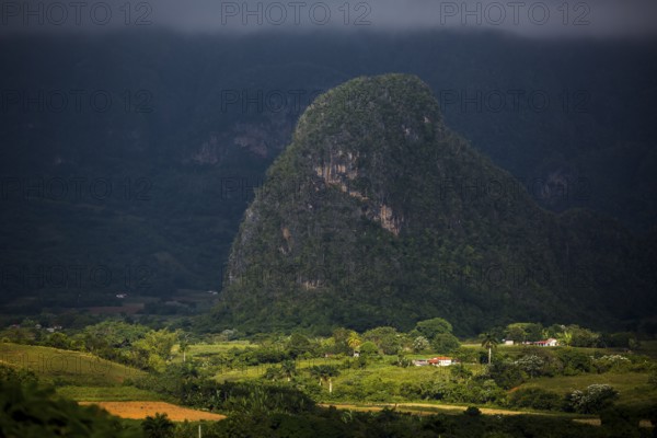 Tobacco fields and the mountains of the Mogotes, Viñales valley with karst mountains, Viñales, Pinar del Río province, Cuba, North America, Cuba, Pinar del Río