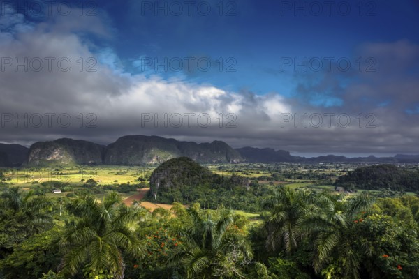Tobacco fields and the mountains of the Mogotes, Viñales valley with karst mountains, Viñales, Pinar del Río province, Cuba, North America, Cuba, Pinar del Río