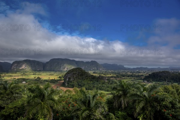 Tobacco fields and the mountains of the Mogotes, Viñales valley with karst mountains, Viñales, Pinar del Río province, Cuba, North America, Cuba, Pinar del Río