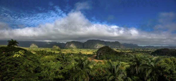 Tobacco fields and the mountains of the Mogotes, Viñales valley with karst mountains, Viñales, Pinar del Río province, Cuba, North America, Cuba, Pinar del Río