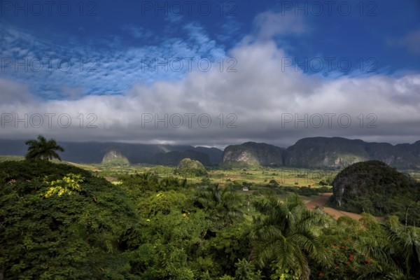 Tobacco fields and the mountains of the Mogotes, Viñales valley with karst mountains, Viñales, Pinar del Río province, Cuba, North America, Cuba, Pinar del Río