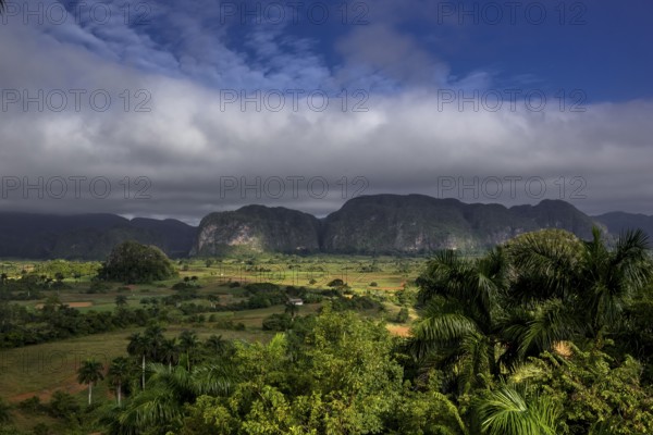 Tobacco fields and the mountains of the Mogotes, Viñales valley with karst mountains, Viñales, Pinar del Río province, Cuba, North America, Cuba