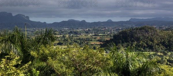 Tobacco fields and the mountains of the Mogotes, Viñales valley with karst mountains, Viñales, Pinar del Río province, Cuba, North America, Cuba