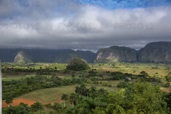 Tobacco fields and the mountains of the Mogotes, Viñales valley with karst mountains, Viñales, Pinar del Río province, Cuba, North America, Cuba