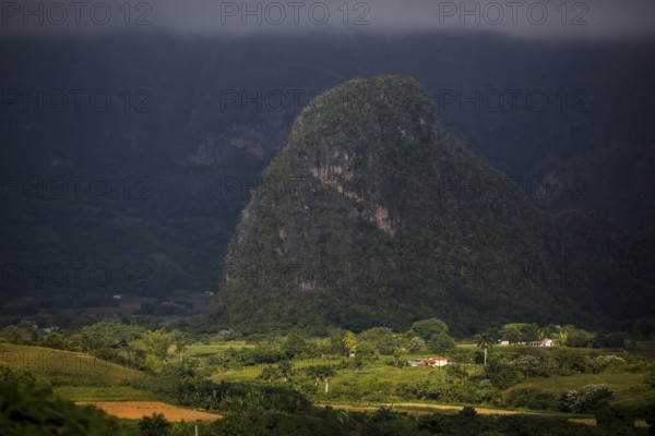 Tobacco fields and the mountains of the Mogotes, Viñales valley with karst mountains, Viñales, Pinar del Río province, Cuba, North America, Cuba, Pinar del Río