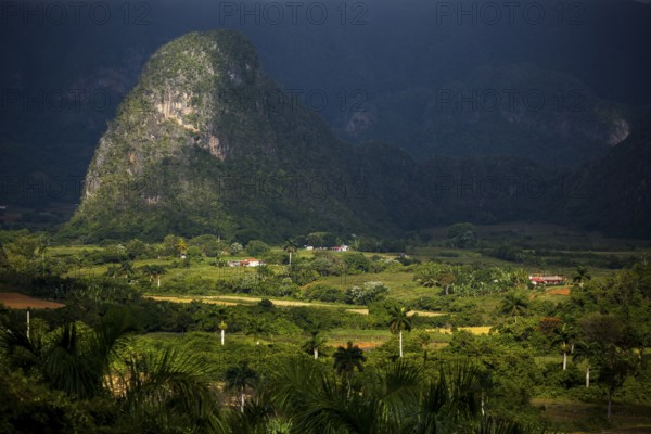 Tobacco fields and the mountains of the Mogotes, Viñales valley with karst mountains, Viñales, Pinar del Río province, Cuba, North America, Cuba, Pinar del Río