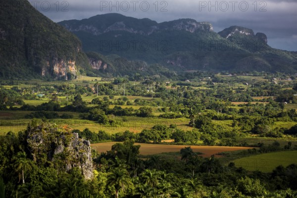 Tobacco fields and the mountains of the Mogotes, Viñales valley with karst mountains, Viñales, Pinar del Río province, Cuba, North America, Cuba, Pinar del Río