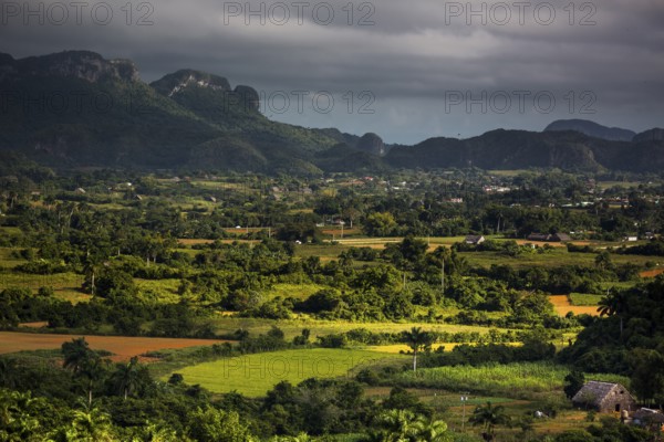 Tobacco fields and the mountains of the Mogotes, Viñales valley with karst mountains, Viñales, Pinar del Río province, Cuba, North America, Cuba, Pinar del Río