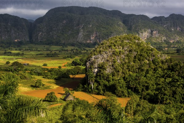 Farmhouse, farm cottage, barn for drying tobacco leaves, tobacco fields and the mountains of the Mogotes, Viñales valley with karst mountains, Viñales, Pinar del Río province, Cuba, North America, Cuba, Pinar del Río