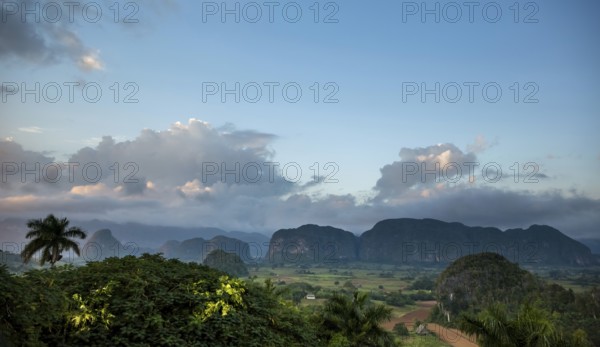 Tobacco fields and the mountains of the Mogotes, Viñales valley with karst mountains, Viñales, Pinar del Río province, Cuba, North America, Cuba