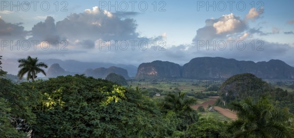 Tobacco fields and the mountains of the Mogotes, Viñales valley with karst mountains, Viñales, Pinar del Río province, Cuba, North America, Cuba