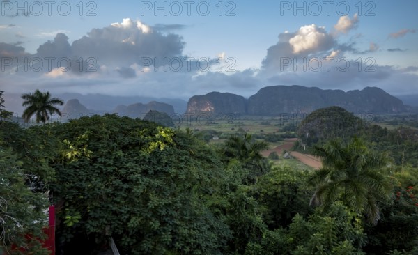 Tobacco fields and the mountains of the Mogotes, Viñales valley with karst mountains, Viñales, Pinar del Río province, Cuba, North America, Cuba