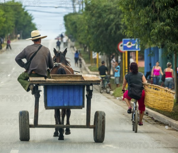 One-horse carriage on the road seen from behind, Cuban with big hat, Viñales, Cuba, Pinar del Río
