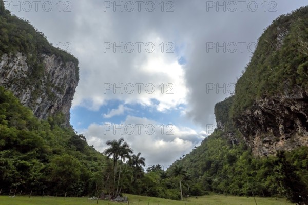 Caves, Cuevos del Indio in the Vinales Valley, Viñales, Cuba, Pinar del Río, Cuba