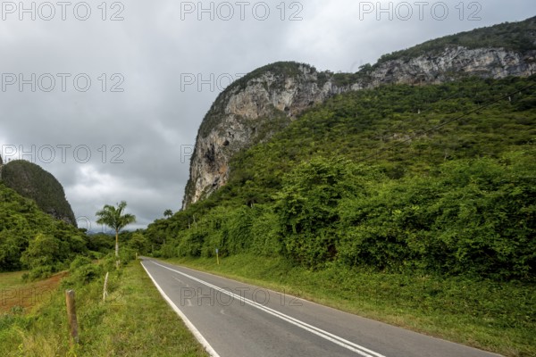 Country road with central reservation in the Vinales Valley, Viñales, Cuba, Pinar del Río, Cuba