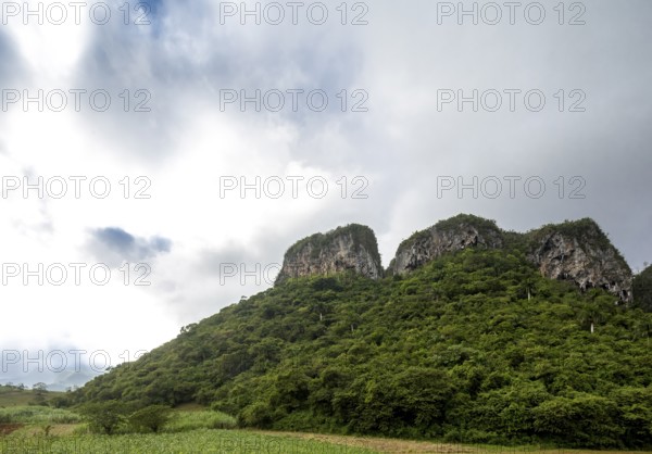 Karst mountain in the Vinales Valley, Viñales, Cuba, Pinar del Río