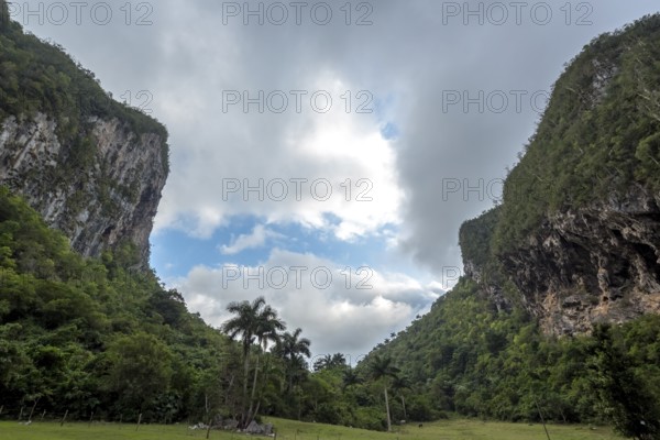 Caves, Cuevos del Indio in the Vinales Valley, Viñales, Cuba, Pinar del Río, Cuba