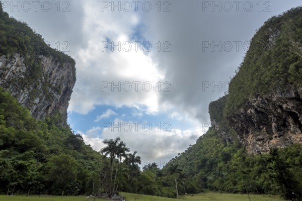 Caves, Cuevos del Indio in the Vinales Valley, Viñales, Cuba, Pinar del Río, Cuba