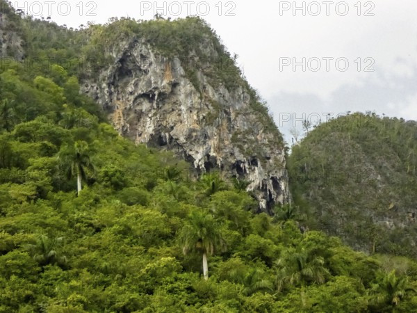 Karst mountain in the Vinales Valley, Viñales, Cuba, Pinar del Río