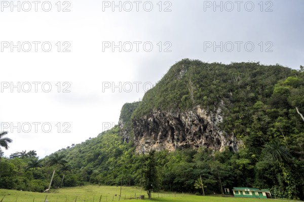 Karst mountain in the Vinales Valley, Viñales, Cuba, Pinar del Río