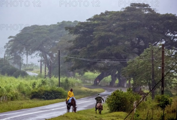 Rider on the rainy country road in Vinales, Viñales, Cuba, Pinar del Río