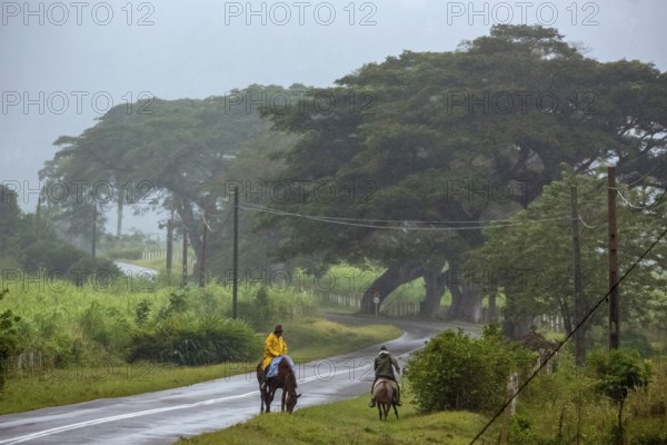 Rider on the rainy country road in Vinales, Viñales, Cuba, Pinar del Río
