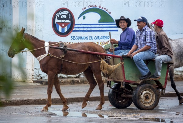 Single carriage, single-span vehicle, Cuban means of transport, Viñales, Cuba, Pinar del Río, Viñales, Pinar del Río