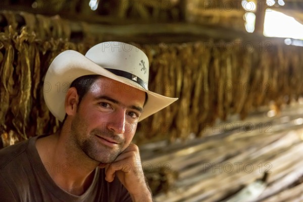 Tobacco farmer, tobacco farmer Luis Manne Alvares Rodrigues on his tobacco farm in the Vinales Valley, Viñales, Cuba, Pinar del Río, Viñales, Pinar del Río