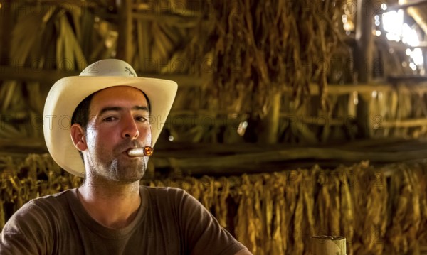 Tobacco farmer, tobacco farmer Luis Manne Alvares Rodrigues smokes a Havana cigar, tobacco farm in the Vinales Valley, Viñales, Cuba, Pinar del Río, Viñales, Pinar del Río