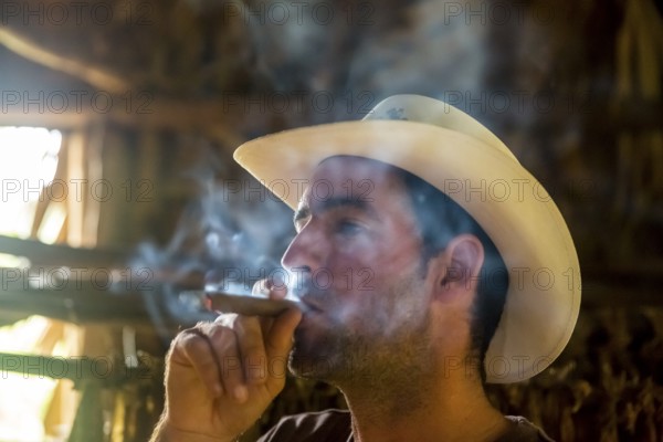 Tobacco farmer, tobacco farmer Luis Manne Alvares Rodrigues smokes a Havana cigar, tobacco farm in the Vinales Valley, Viñales, Cuba, Pinar del Río, Viñales, Pinar del Río