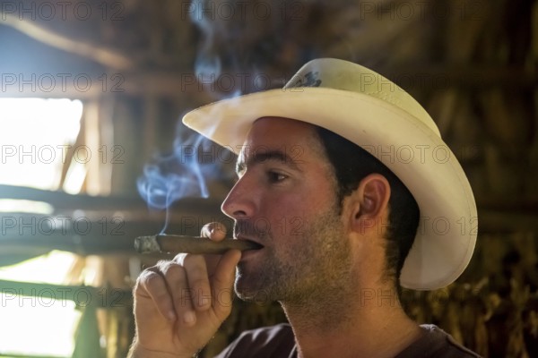 Tobacco farmer, tobacco farmer Luis Manne Alvares Rodrigues smokes a Havana cigar, tobacco farm in the Vinales Valley, Viñales, Cuba, Pinar del Río, Viñales, Pinar del Río