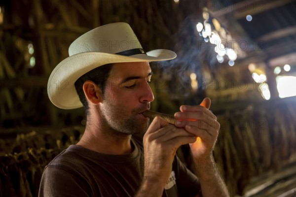 Tobacco farmer, tobacco farmer Luis Manne Alvares Rodrigues lights a Havana cigar, tobacco farm in the Vinales Valley, Viñales, Cuba, Pinar del Río, Viñales, Pinar del Río
