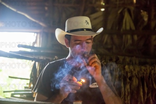 Tobacco farmer, tobacco farmer Luis Manne Alvares Rodrigues lights a Havana cigar, tobacco farm in the Vinales Valley, Viñales, Cuba, Pinar del Río, Viñales, Pinar del Río