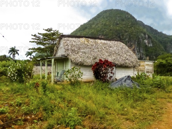 Thatched farmhouse, farm cottage, Cuba