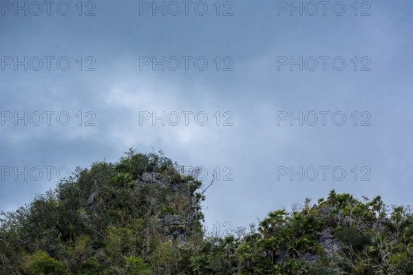 Hilly landscape in the Vinal Valley, Cuba, Pinar del Río, Cuba, Pinar del Río