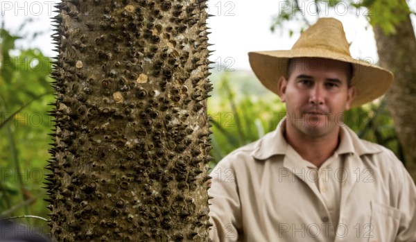 Florett silk tree (Ceiba speciosa) with travel guide, Viñales, Cuba, Pinar del Río, Cuba, Viñales, Pinar del Río