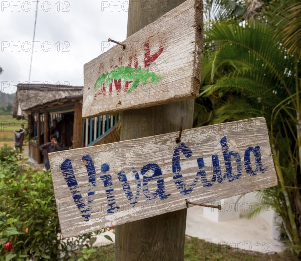 Wooden sign with the inscription Viva Cuba on a telegraph pole, Viñales, Cuba, Pinar del Río, Cuba, Viñales, Pinar del Río