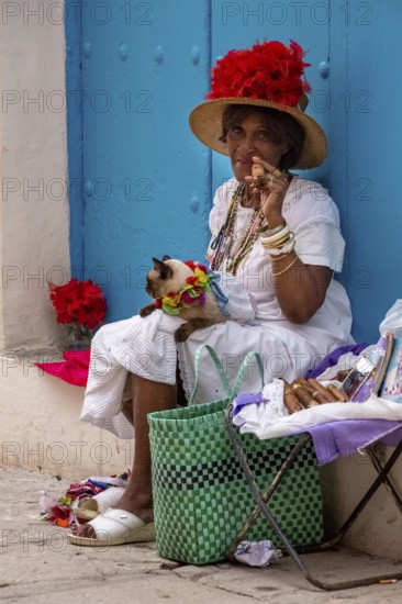 Old Cuban woman smokes a Cuban cigar on the street and posts with her cat for the tourists, La Habana, Cuba, Caribbean, Central America, Cuba, Europe, aerial photo, birds-eyes view, aerial photography, aerial photography, overview, bird's eye view