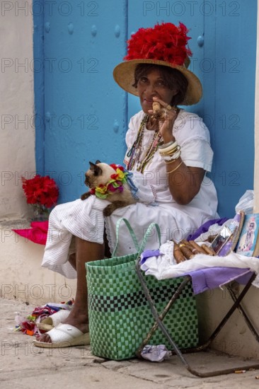 Old Cuban woman smokes a Cuban cigar on the street and posts with her cat for the tourists, La Habana, Cuba, Caribbean, Central America, Cuba, Europe, aerial photo, birds-eyes view, aerial photography, aerial photography, overview, bird's eye view