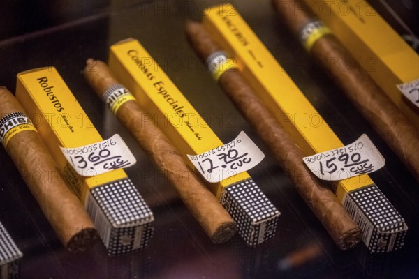 Cohiba cigars in retail sale with individual wrappers, Cuban cigars in the salesroom of a cigar retailer, La Habana, Cuba, Caribbean, Central America, Cuba, Europe, aerial view, birds-eyes view, aerial photography, aerial photography, overview, bird's eye view