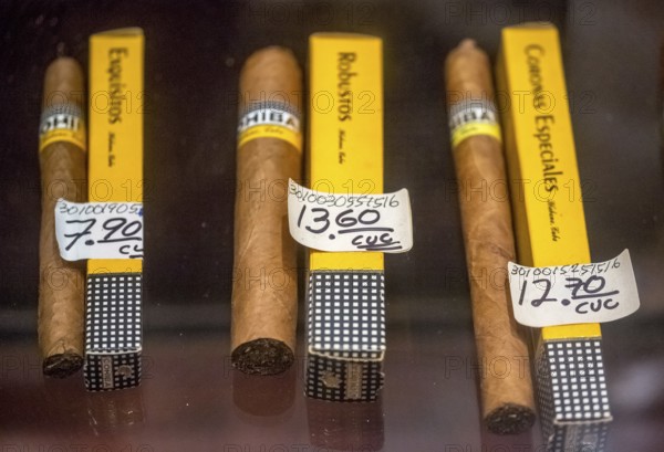 Cohiba cigars in retail sale with individual wrappers, Cuban cigars in the salesroom of a cigar retailer, La Habana, Cuba, Caribbean, Central America, Cuba, Europe, aerial view, birds-eyes view, aerial photography, aerial photography, overview, bird's eye view