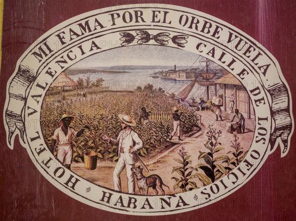 Tobacco poster in front of a Cuban cigar shop, La Habana, Cuba, Caribbean, Central America, Cuba, Europe, aerial view, birds-eyes view, aerial photography, aerial photography, overview, bird's eye view