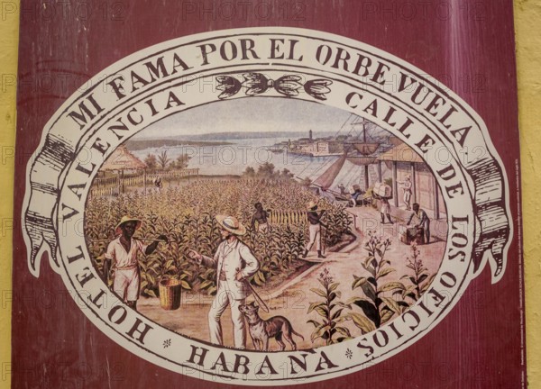 Tobacco poster in front of a Cuban cigar shop, La Habana, Cuba, Caribbean, Central America, Cuba, Europe, aerial view, birds-eyes view, aerial photography, aerial photography, overview, bird's eye view