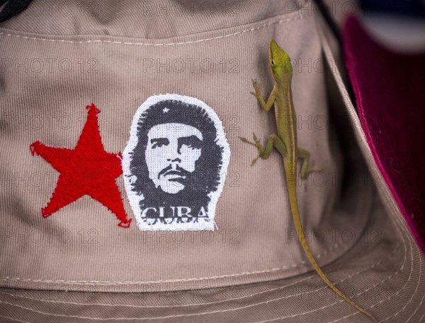 Beige cap with red Soviet star and gecko (Gekkonidae) and Ernesto Che Guevara sticker, La Habana, Cuba, Caribbean, Central America, Cuba, Europe, aerial photo, birds-eyes view, aerial photography, aerial photography, overview, bird's eye view
