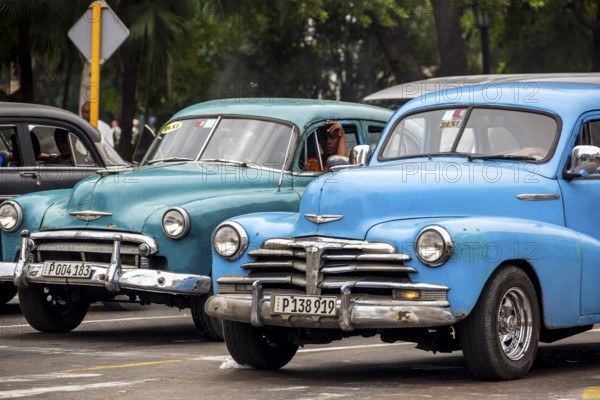 Turquoise and blue vintage car in street scene, Old American road cruiser on the streets of Havana, Taxi, La Habana, Havana, Cuba, Cuba, Europe, aerial view, birds-eyes view, aerial photography, aerial photography, overview, bird's eye view