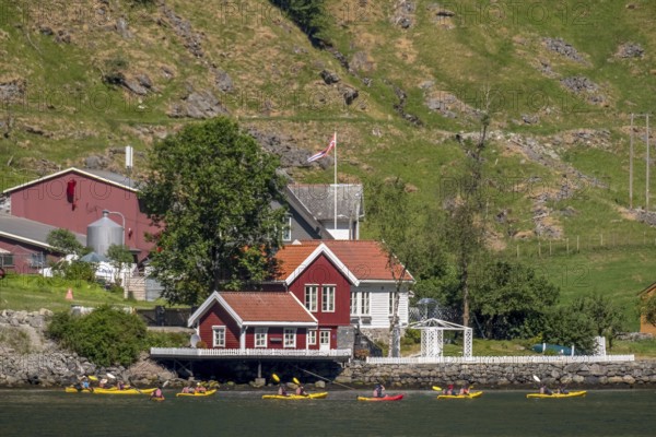 Tourists in yellow kayaks on fjord, river, Gudvangen, stone wall, mountain landscape, red wooden houses, Bakka, Sogn og Fjordane, Norway, Scandinavia, Europe, NOR, travel, tourism, destination, sightseeing, sea voyage, Hurtigruten, Hurtigruten trip, tourism, Norwegian, Scandinavian, tourist, cruise, adventure trip, mountain huts, houses, trees, meadows, rocks, mountains