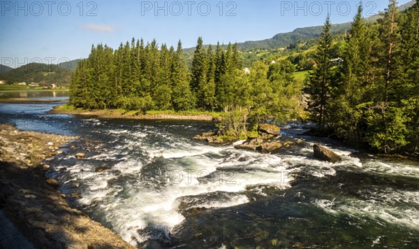 Fjord near the city of Bergen, small island, spruces, rapids, large stones, blue sky, Hordaland, Norway, Scandinavia, Europe, Bergen, NOR, travel, tourism, destination, sightseeing, sea voyage, Hurtigruten, Hurtigruten voyage, tourism, Norwegian, Scandinavian, tourist, cruise, adventure trip, trees, forest, mixed forest, forestry, forestry, water, stream, stones