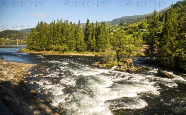 Fjord near the city of Bergen, small island, spruces, rapids, large stones, blue sky, Hordaland, Norway, Scandinavia, Europe, Bergen, NOR, travel, tourism, destination, sightseeing, sea voyage, Hurtigruten, Hurtigruten voyage, tourism, Norwegian, Scandinavian, tourist, cruise, adventure trip, trees, forest, mixed forest, forestry, forestry, water, stream, stones